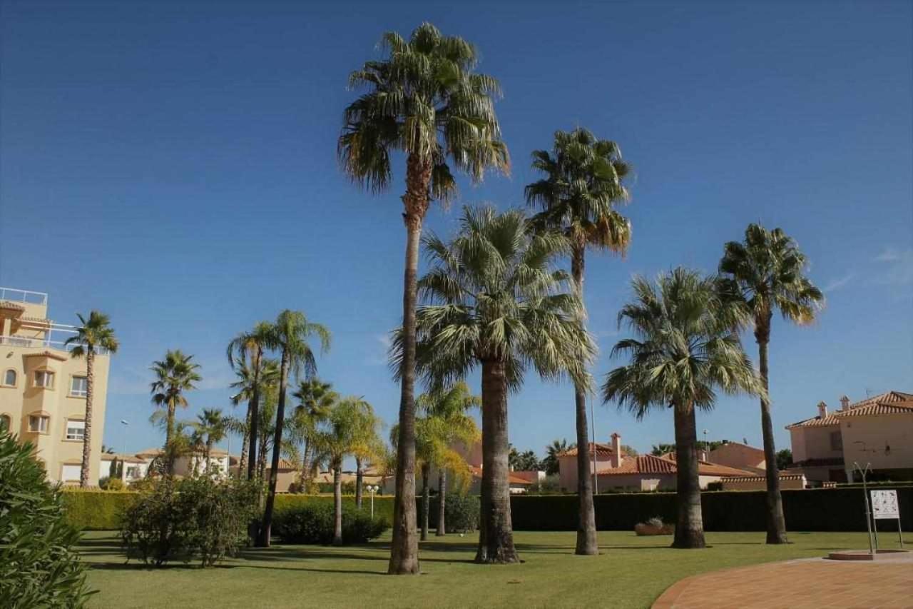 Apartamento De Lujo En La Playa Oliva Exterior photo